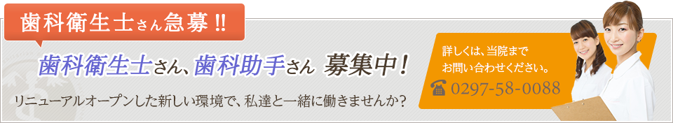 歯科衛生士さん、歯科助手さん募集中！